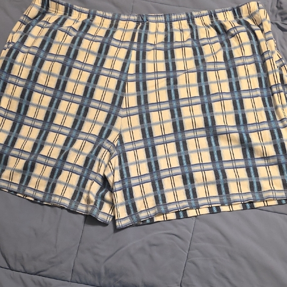 Only Necessities Blue and White Plaid Women Shorts - Picture 6 of 6